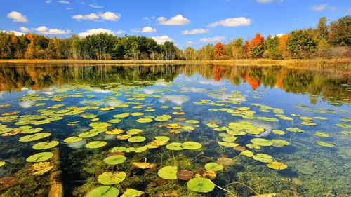 Item #10009359903282094537398543197541078073067770590855434614987939632588546637834 Media