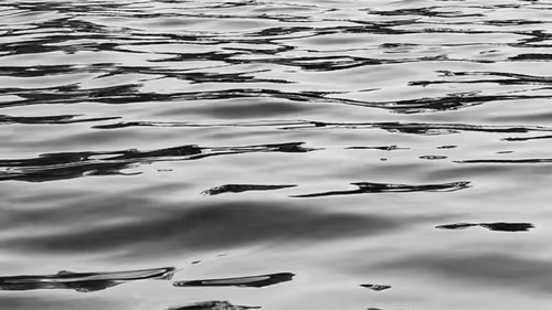 Item #50669614906644068780264130075009940083871470723350324836987700130843430223873 Media