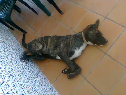 Item #7967281033894542222055828877453032867342209807388350993583448230955008917505 Media