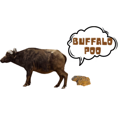 Item #105050761401497191004773539515645462106008427788240903317161599059528691744769 Media