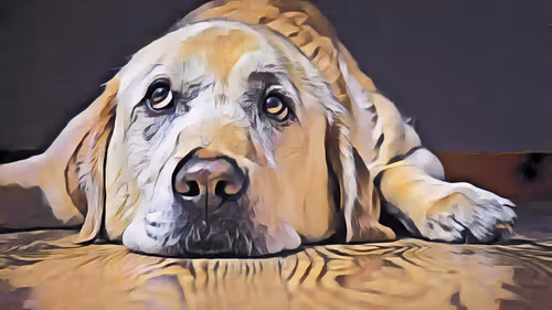 Item #74388721199083954673298778298232823886096642493620239959546432256553519153153 Media