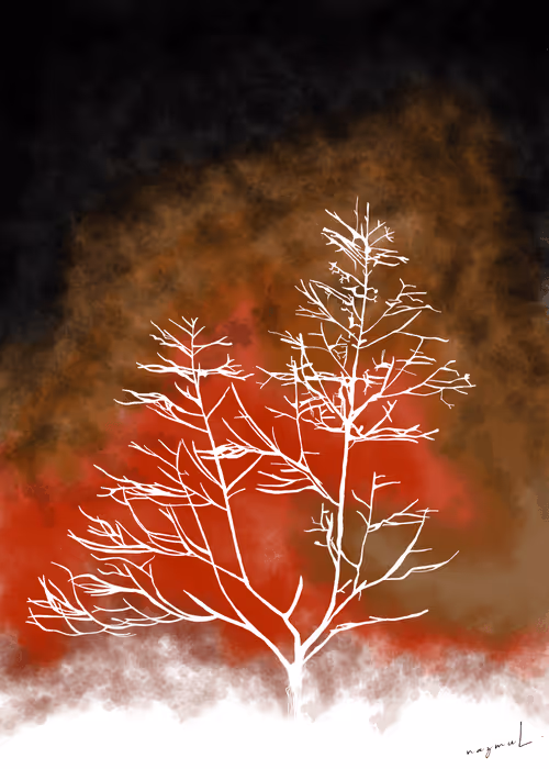 Item #31468751528064066344300575251407975143525181814289478507983740559127505535176 Media