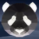 46274709659955899390676116923993978585267864887376653375763340324716572311553