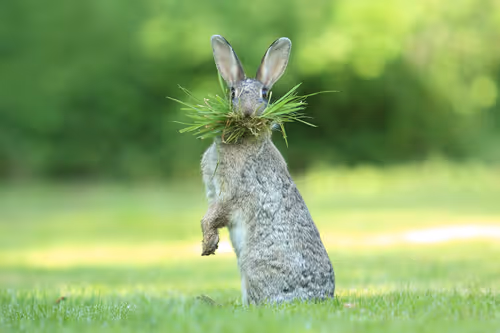 Untitled Collection #21182414