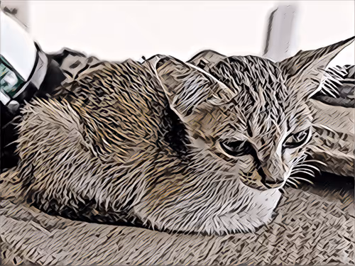 Item #74122138759525378795667626270866148487737655975912799548892275931790752874497 Media