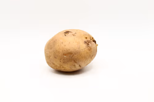 Item #97726151104522163495278545296769301934737660224123995419035737116892416966657 Media