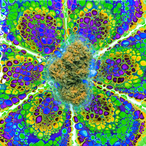 Item #13955282856406335165414100891374623718709547313428947888299033996738741403653 Media