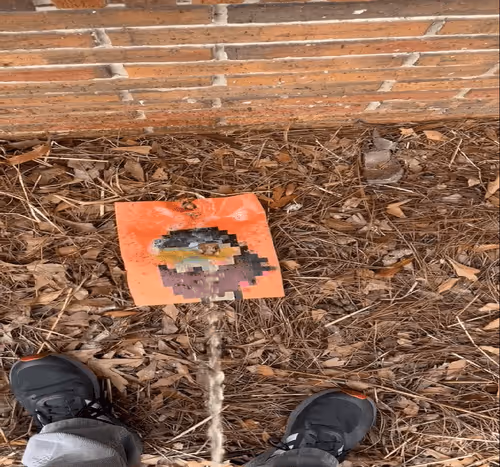 Untitled Collection 190043900