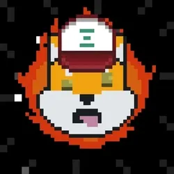 Rocket Shiba #6515