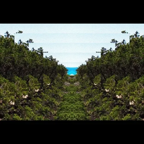 Item #229903202399770629281150266274287852530355796343641318577665227973311070508 Media