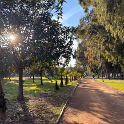 Take a walk.