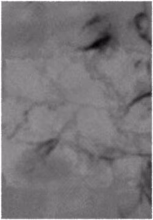 Item #67553364102704910052786438722982539447022718177836165747965600825349117050881 Media