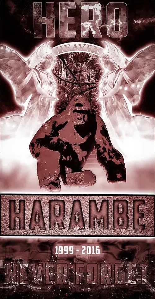 Item #48790520787155310426102062731270564561928034817995506544027698519462557778420 Media