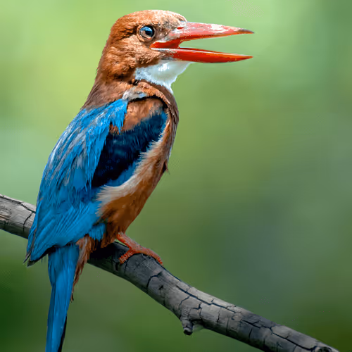 61684684013370051227163866082320023750896296023852719411798081116026823507993