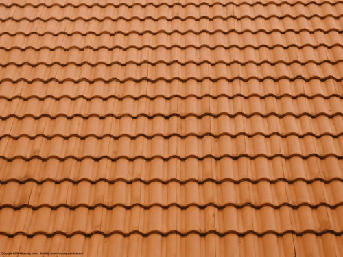 Item #100987562478615090360707683217889240424329144590499080212126269553716104265729 Media