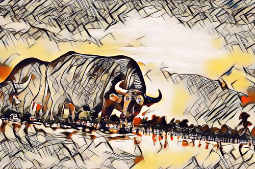 Bitcoin Bull Consolidation