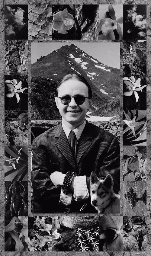 Item #75273069813984072057993738106185652471474454603567834826338096157443993108481 Media