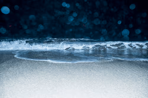 Item #65334289746679534718729475887804441956060191570096093289886828081683470745601 Media