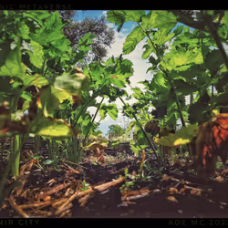 3787080761074609709675817509753112159059746763483256848434353892047942844417