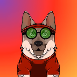 Crypto Shepherd #997