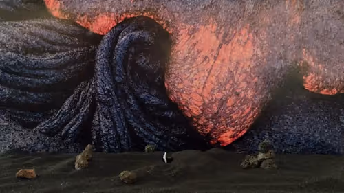 Item #32382354995311206636930955851818118108425029471473268411146207514004197212260 Media