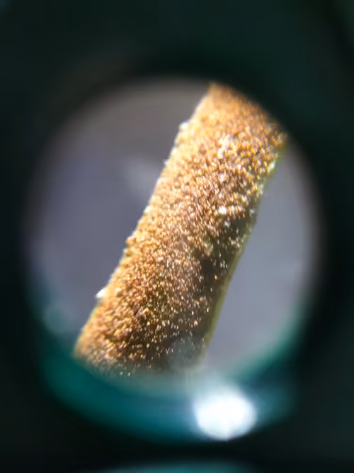 Item #12499860690887257293727532681291822536045842218714555575181684153870417133569 Media