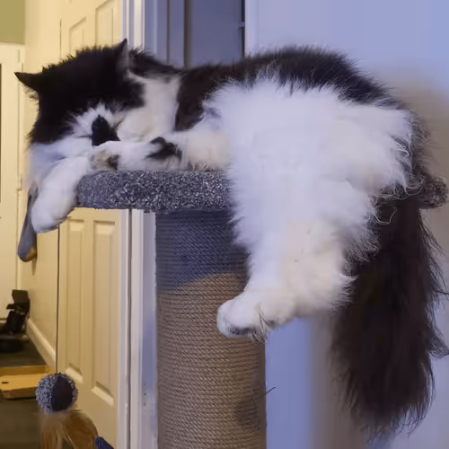 Item #13161020314009032005485822086301964352885579695205061807387255127801629507585 Media