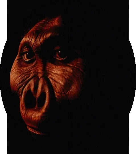 Item #99240698403131764357396770641695198226804647575338296481324929407286085943297 Media