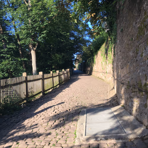 GermanManu Collection