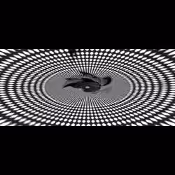 (10)