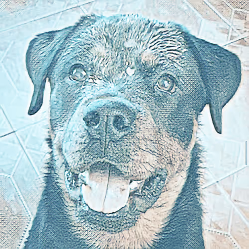 Item #7678098862480869732198640215548033609718490980890964392803254899416540119090 Media