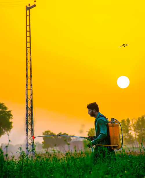 Item #9104047852343460824823657095955061139286762947505329334286274269783472996353 Media