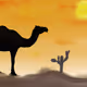 110817325969803721554414874001628957643438278349747275011942383514446035156993