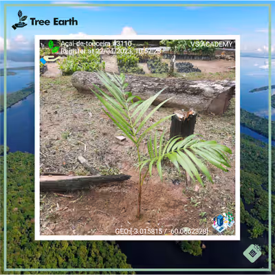 Item #8500196597889277390194123329501889087166328879864934763448349250326825533441 Media