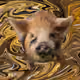 53180631642456764738139299674940583640479914081960747744151189976282866647041