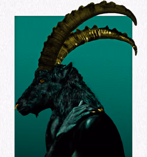 Item #48214008460807740689705390098693441553265650279224063119379866480615096320001 Media