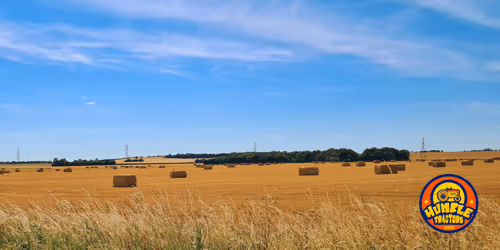 Item #35863194083128256797647772425284652682645032595179500226087347117522363088897 Media