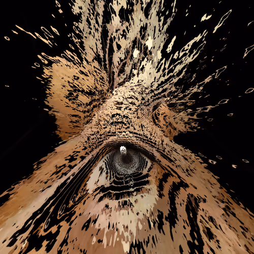 Item #47993365230904546224908061961898398429308184507692648287352000480649137881089 Media