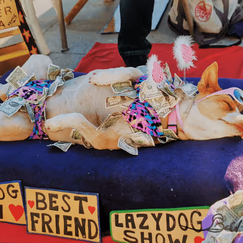 Item #108114224003492438817316405579015053313657463200327863647509058504122253180929 Media