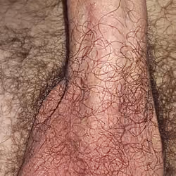 my penis 2
