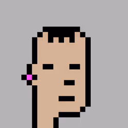 27133287800476298406803128138048055414871780185310563706244825204961086275585