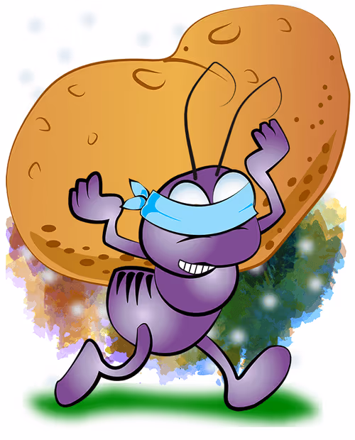 Item #45348753743339507451215022737085169822487941225241617615385428054530035023873 Media