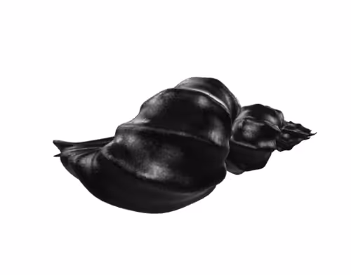 Item #101986064897505636192511017458813156695915810452106734016551982830887433666561 Media