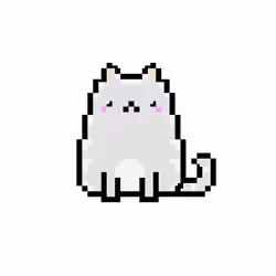 NFTCAT#03