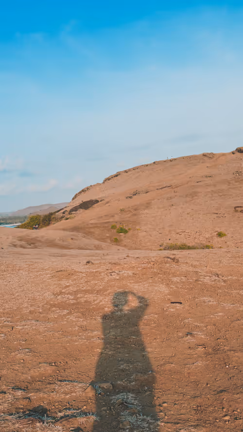 Item #33959663914865537073803252750365082075040924714137999346263629549203261227009 Media