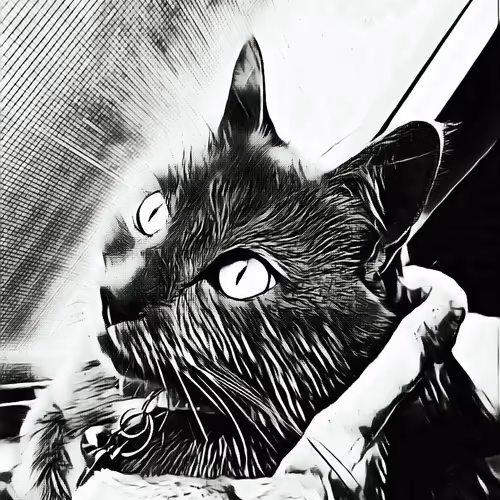 Item #64463310681125245675391591135030494168510991654605201361731743046044879945778 Media