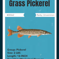 43502264269384842523243150070095810631836830099831581701628992009835548508161