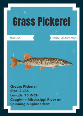 Item #43502264269384842523243150070095810631836830099831581701628992009835548508161 Media