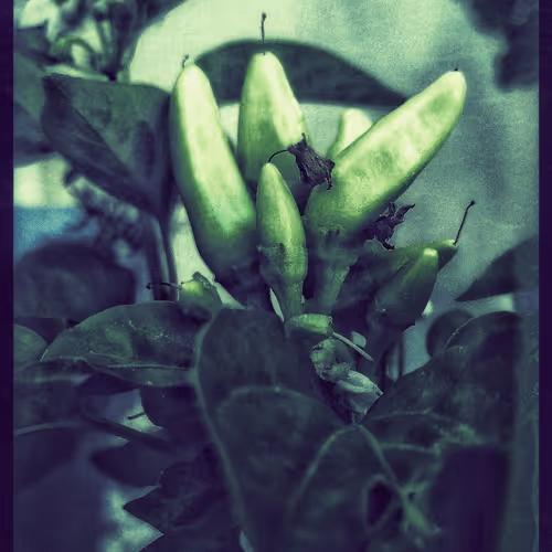 3787080761074609709675817509753112159059746763483256848434353794191407972353