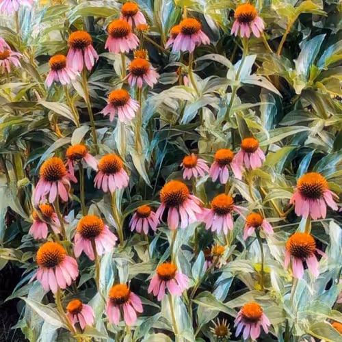 Item #47237781251135923353742950703176233702215495695736078562832556062069032484865 Media